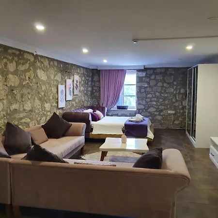 호텔 Leyla 알라카티