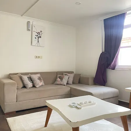 Leyla * アラカティ