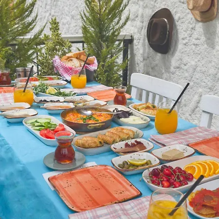 Leyla אלאקאטי